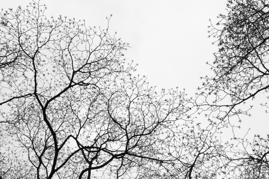 Systems thinking in optima forma